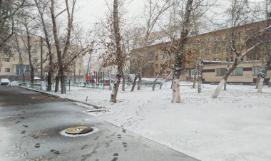 11 қарашада Павлодар облысында қар аралас жаңбыр күтіледі