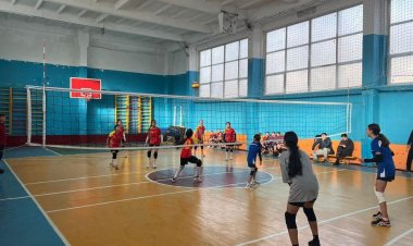 Павлодар облысында оқушылар волейболдан үздік команданы анықтады