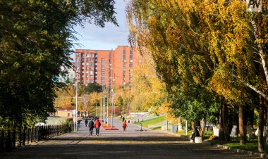 Павлодар облысында осы аптада жылы ауа райы сақталады