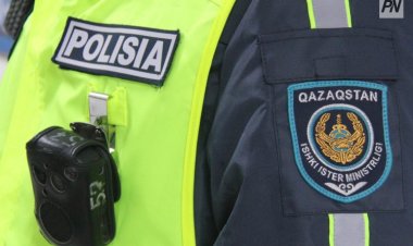 Павлодар ауылының тұрғыны 12 жасар қызға тиісті деген күдікпен ұсталды