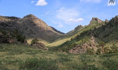Павлодарским архарам и сайгакам ничего не угрожает