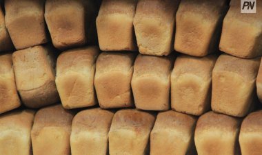 Интервенция: как в Павлодарской области борются с ценами