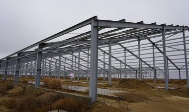 В Успенском районе запустят ферму нового поколения