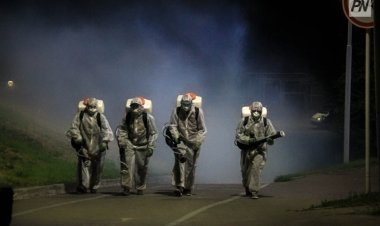 Шыбын-шіркеймен күрес: Павлодар облысында өңделетін аумақтар көлемі артады