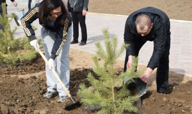 Аксуские энергетики озеленили город