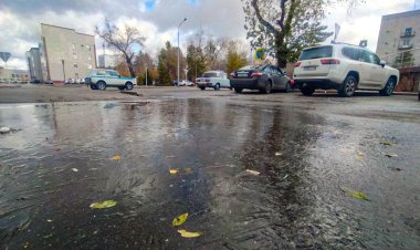 Сенбіде Павлодар облысында жаңбыр жауады