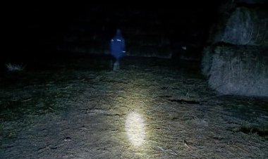 Екібастұз ауылдық аймағында жеті жасар қыз жоғалды