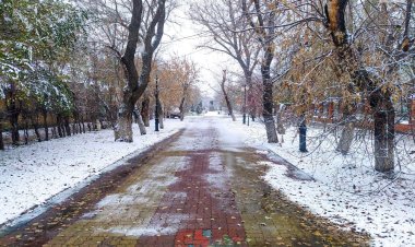 Небольшой снег ожидают в Павлодарской области 20 ноября