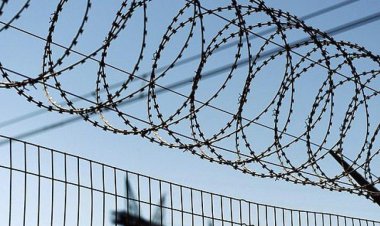 Жительница Павлодара отказалась от принудительного труда и отправилась в колонию