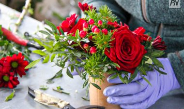 В Павлодаре высадили многолетние цветы