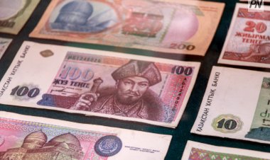 Астаналық жаттықтырушы павлодарлық мамандарға ауылда бизнесті дамыту әдісімен бөлісті