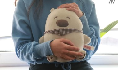 Павлодар облысында 12 жаста ана атанған қыздың отбасы туралы не белгілі?