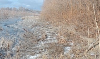 В Павлодарской области вторую неделю ищут пропавшего рыбака