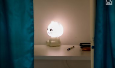 В кабинке двое: комиссия референдума разъяснила правила голосования