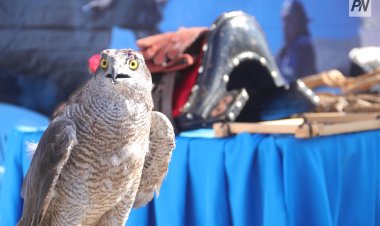Павлодарцев пригласили поймать Наурыз-вайб