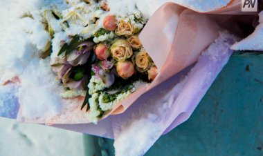 В Павлодаре наградили мам офицеров полиции