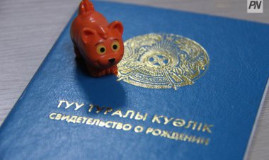 Павлодарлықтар туу туралы куәлікке SMS арқылы тапсырыс бере алады