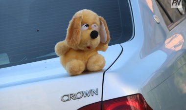 Ақсуда ерлі-зайыптылар ата-ана құқығынан айырылды