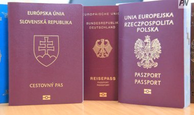 Германия азаматтық беру рекордын жаңартты: сириялықтар мен түріктер көш бастады