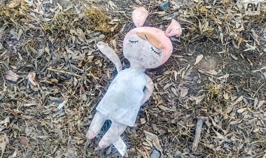 Павлодарда құзырлы органдар балалардың өміріне алаңдаулы