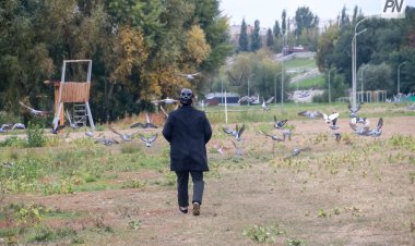 Павлодарда жоғалған зейнеткер ауылда шөп шауып жүрген