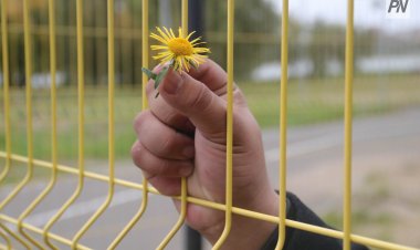 Карагандинцы потеснили павлодарцев в добрых делах