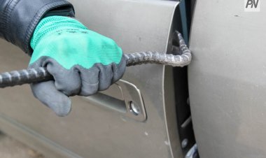 Павлодар облысында автомагнитола ұрлаған жас азаматтарға қылмыстық істер қозғалды