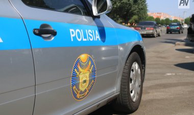 Павлодарда мейірімді аю есірткіге қарсы шықты