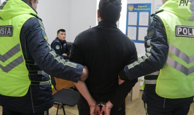 Экибастузец использовал поддельный вузовский диплом