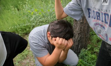 В Павлодаре приняли меры по буллингу в школе