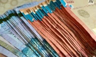 В Павлодаре задержали кредитную мошенницу