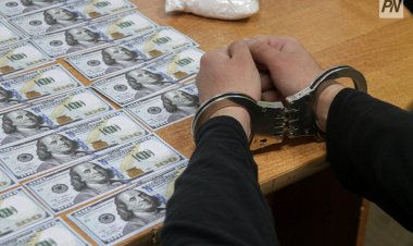 Павлодарда  қаржы пирамидасы құрықталды