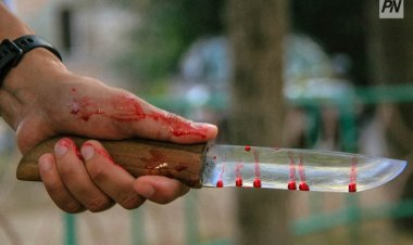 Павлодарда танысын пышақтаған азамат полицияға өз еркімен берілді