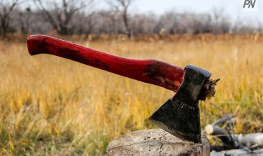 Павлодарда сот адам өлтірген азаматты психикалық ауру деп таныды