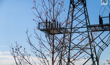 В Майкаине восстановили электроопоры, поврежденные ураганом