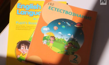 Павлодарлық оқушылар аязға байланысты үйден оқиды