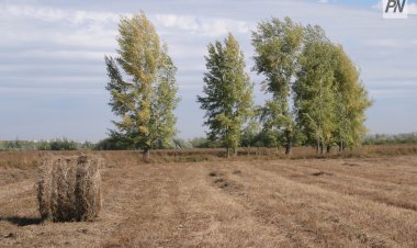 Ертіс ауданының жеке кәсіпкерлеріне жер телімі заңсыз берілген