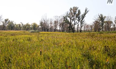 Как павлодарцы могут получить землю под бизнес