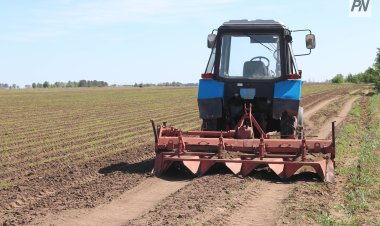 Какую погоду ожидать павлодарским аграриям на посевную?