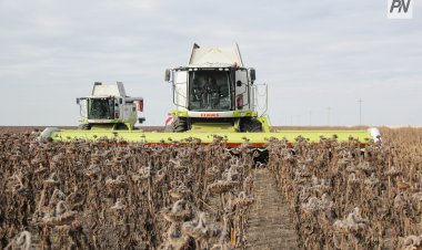 Павлодарлық диқандар көктемгі егіс жұмыстарына жеңілдікпен қаржыландырды