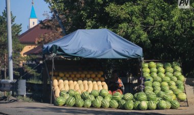 Павлодарцам рассказали, как выбрать безопасные арбуз и дыню