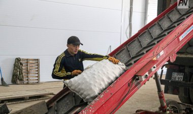 Тысячу новых рабочих мест создадут в селах Павлодарской области
