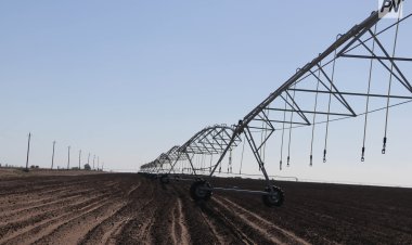 Китайская компания готова наладить производство в Павлодарской области