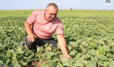 Асайын Байханов ауыл шаруашылығы қызметкерлерін мерекемен құттықтады