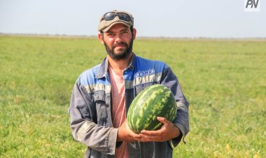 Павлодарда кәсіпкерлер өнімдерін өткізу нарығын кеңейте алады