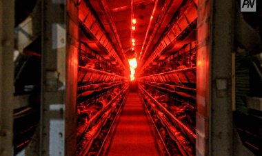 Павлодар ауданында климаттық бақылауы бар көкөніс қоймаларының санын арттыру жоспарлануда