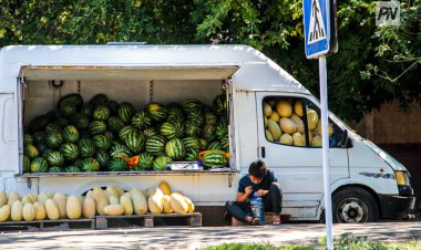 В Павлодарской области продлили сроки сельхозпереписи