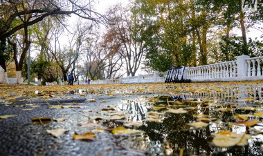 Күздің алғашқы күні Павлодар облысында жаңбырлы болмақ