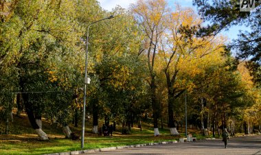 4 қазанда Павлодар облысында күн ашық болады