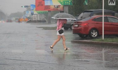 Дождливая неделя ожидает жителей Павлодарской области